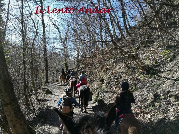 Turismo equestre, nuovo corso di formazione in Lombardia